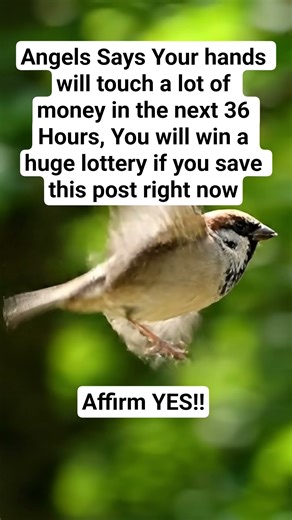 Type yes to affirm ❤️🌟🧿🍀#affrimations #manifestation #lawofattraction