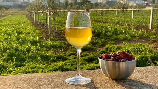 How to Make Date Wine at Home | Homemade Wine | How to Make Wine From Dates