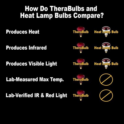 TheraBulb vs Heat Lamp Bulbs: Which Do You Need?