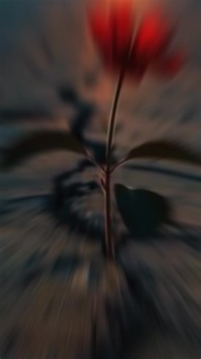 Моя история только начинается... | Обо всём интересном