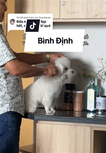 Chăm sóc cho thú cưng trong Tết Giữa Lúa