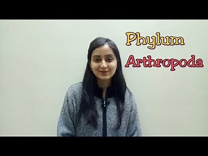 Phylum Arthropoda | Biological classification part -16 | Class XI-Lecture 44