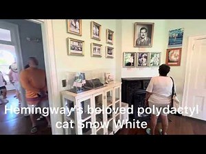 Exploring the Ernest Hemingway Home & Museum – Key West, Florida