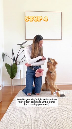 Teach Your Dog to Cross Paws: Training Tips & Tricks