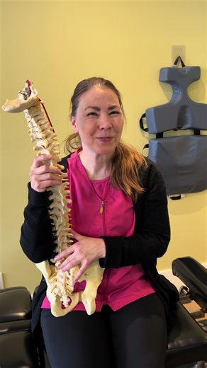 What do Chiropractics do? Dr Susanne Morris explains the ideas of chiropractic 🙌🌟