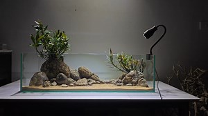 129K views · 1.5K reactions | Simple steps when setting up a rock stream style aquarium with a pre-pasted layout #aquascape #plantedtank #viralreelsシ #fishtank #aquatic #aquarium #aquariumhobby #layoutdesign #viralpost #viral #aquariumhobby #plantedtank #viral #aquascape #aquarium #layoutdesign #aquatic #fyp #short | AquaPedia | Facebook