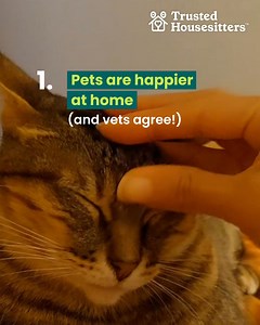 Going on vacation, but need someone to look after your pet? Find a loving sitter who’ll give your furry family member the care and companionship they need while you’re away. ❤️🐾 | TrustedHousesitters