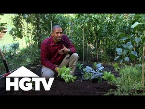 How To Grow a Vegetable Garden | Gardening Tips | HGTV