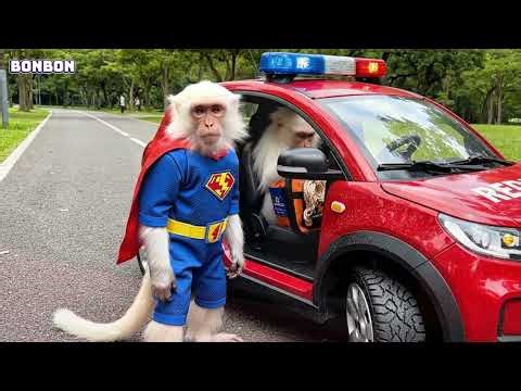 Cute Bon Bon Monkey Becomes a Superhero and Saves the Animals