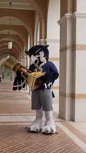 Why hide the trophy when it's already home?! Let's show the Cougars what we're made of, Owls! 🏆 | Rice University