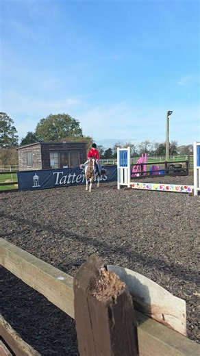 First Show Jump Experience for Equestrian Enthusiasts