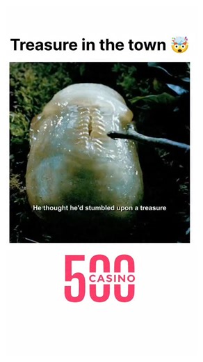 Moviez on Instagram: "Treasure in the town 🤯 🎬 Title: Slither (2006) 🧠 Genre: Horror | Comedy | Sci-Fi Slither is a darkly comedic horror film about a small town overrun by a parasitic alien organism that turns its residents into grotesque, zombie-like creatures. As the infection spreads, a local sheriff and a few survivors fight to stop the horrifying invasion before it consumes everyone. Directed by James Gunn, the movie blends gory special effects with twisted humor and sharp dialogue. 📺