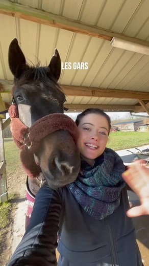 Routine de soins avec notre cheval : Dressage et Equitation