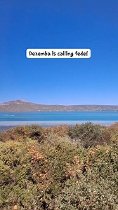 The Caribbean of South-Africa. 📍 Shark Bay, Western-Cape, South-Africa. 🇿🇦 Why is the South-African flag at the bottom of the emoji's? Hulle weet alweer nie wat ons weet nie🫡. | Anfreakenzel Anzel