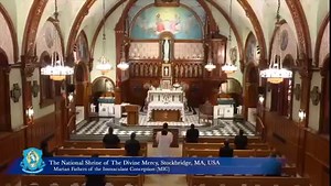 6.8K views · 5.4K reactions | Thur., June 22 - The Holy Rosary from...