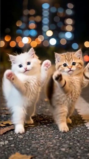 Cute Kittens Dancing to Viral Cat Song 😻🐾 | Funniest Cat Dance Video #Shorts #flyingcat