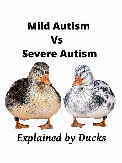 Mild Autism vs Severe Autism: Simple Duck Story Explanation