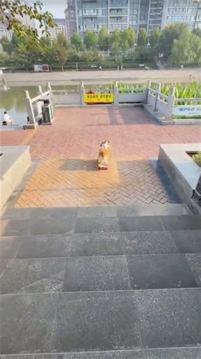 dog u VIP entry in dogs