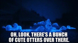 Oh, look, there's a bunch of cute otters over there.