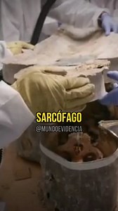 O Misterioso Sarcófago de Notre-Dame: Quem Era Esse Homem? #História #Curiosidades #NotreDame #Mistérios #Arqueologia #Descobertas #Sarcófago #França #Catedral #HistóriaOculta | Mundo Evidência