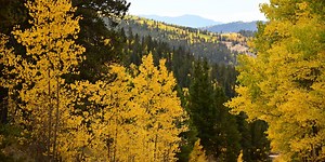 September weather outlook pits warm forecasts against cool signals