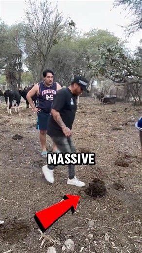 The Most Disgusting Prank Ever! 💩🤢