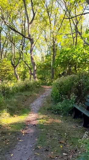 32 reactions | See our parks from a whole new perspective ✨...