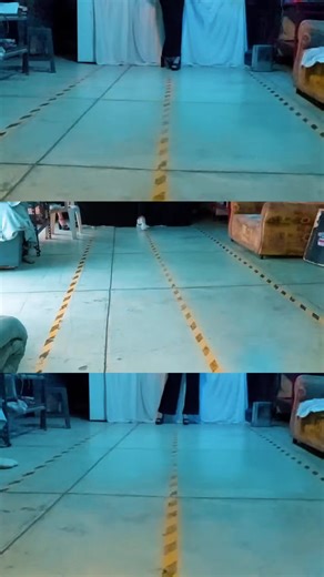 👑👑👑SKI MODEL & MISS | EN SKI MODEL TIENES MÁS: Fotografías, pasarelas, cursos, representatividad, asesoramiento y  👑👑👑 👑👑👑Crown Queen´s & Model´s👑👑👑 Desarrollaremos tu potencial como modelo 👑👑👑 Descubre tu mejor versión de ti misma 👑👑👑 👑VIVE TU MAGICA EXPERIENCIA !!👑 👑TE AYUDAMOS ALCANZAR TU PRIME👑#escuelademiss #pasarela #modelo #miss #escuelademodelos #crownmiss #estilo #MODA #schoolmodel #skimodel #photoshoot #casting #Coordinacióncertamen #models #TikTokFashion #modelin