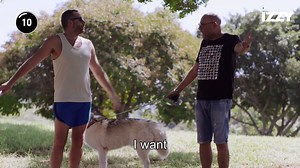 90 reactions · 24 comments | For the next three weeks, we're bringing you two episodes of this unique Israeli comedy series, starring Israel's top comedian: Zvika Hadar. Follow in the footsteps of a real-life famed Israeli comedian who has lost his job hosting a primetime TV show! | IZZY - Stream Israel | Facebook