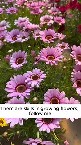 Effective rooting water for seedlings #gardeninggoals #gardeningistherapy #gardeningtips #gardeninglife #gardening_love #gardeninguk #gardening101 #gardeningtools #gardeningislife #gardeningtherapy #gardeningknowhow #gardeningseason #gardeningismytherapy #gardeningmakesmehappy #gardeningaustraliamag #gardeningday #gardeningideas #gardeningphoto | Garden For Life