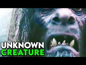 First Encounter: Unbelievable Trail Cam Footage