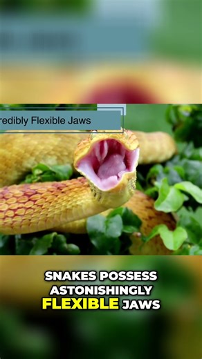 Mind-Blowing Snake Facts: Jaws, Scales, and Camouflage! #shorts