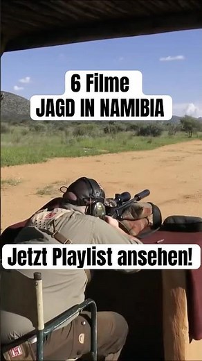 6 Filme AFRIKA SAFARI NAMIBIA - jetzt ansehen! 🎥🇳🇦 #hunting #safari #wildlife #jagd #africa #deer