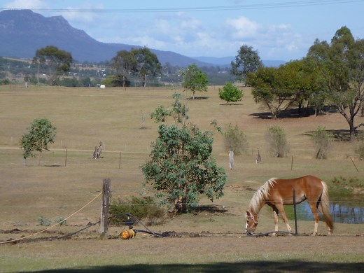 Sydney - Urban Dynamics