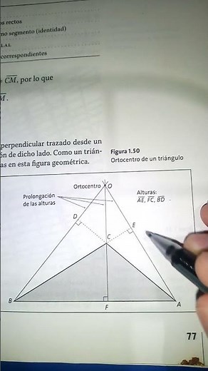 The Heights of a Triangle 📐😎📏
