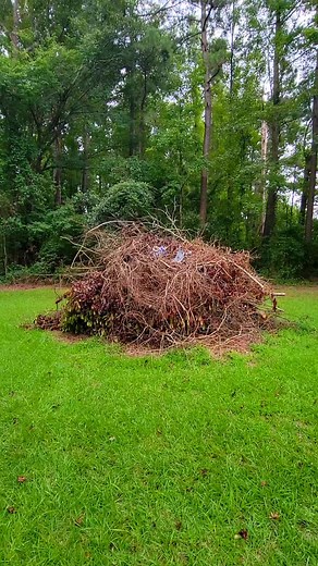 Finally Burning Our Humongous Debris Pile! Full Video On YouTube! #terrellspivey #yardwork #lawncare #burnpile #burning #fire #fbreels #viral #reels | Terrell Spivey