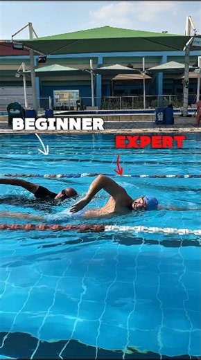 Beginner To Expert Freestyle Swimming