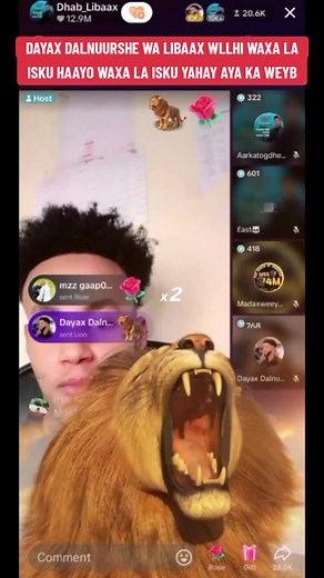 MANGO VIP STUDIO على TikTok