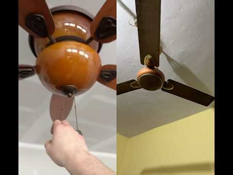 Ceiling fan start | #shorts #ytshorts #shortsfeed #ceilingfan #fan