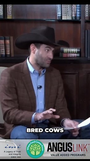 4.9K views · 641 reactions | 樂 Is now the time to buy bred cows and...