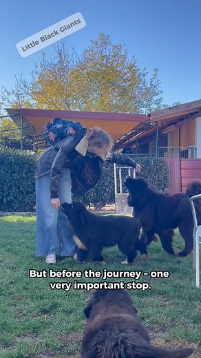 9.8K views · 485 reactions | 퐓퐡퐞 퐥퐚퐬퐭 퐰퐚퐥퐤…Not a goodbye, just a see...