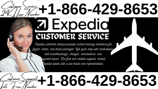 Expedia® USA Customer Service: Your Full 24/7 Live Person Support and Contact step by step Guide