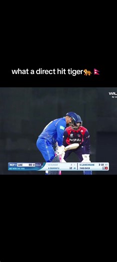 Exciting Direct Hit in Cricket World Cup 2023