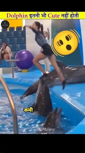 Cute Dolphins Are Not Really Cute 😳 | Dolphin Facts You Didn’t Know #shorts DolphinFacts