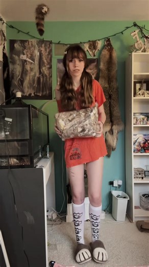 5 pounds of bobcat fur scraps i’m overjoyed #digitaldiary #ootd #alt #oddities #taxidermy