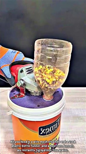 No Corn Grinder? Just Use This DIY Grinder!
