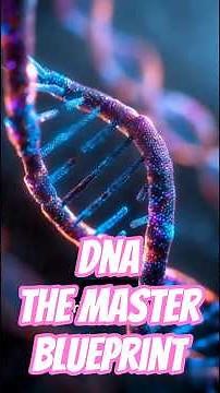 DNA: The Master blueprint of the Human Body #facts #science