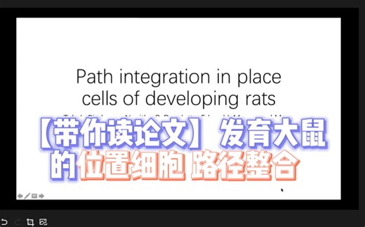 Path integration in place cells of developing rats
