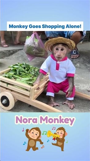 Monkey’s Adventure at the Market 🐒🛒