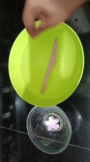 Sinking & Floating Experiment | Grade 6 Science by Aysha Fiza